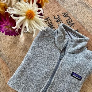 Patagonia Better Sweater 1/4 Zip Fleece